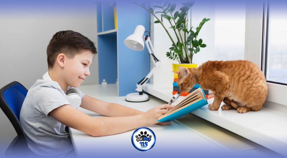 چگونه گربه را تربیت کنیم