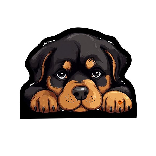 مت زیر ظرف آب و غذای سگ و گربه تادو طرح روتوایلر