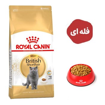 غذای خشک گربه مدل بریتیش ادالت رویال کنین