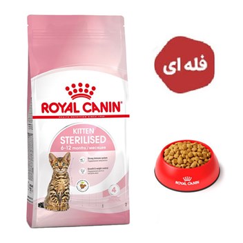 غذا خشک گربه مدل کیتن استریلایزد رویال کنین