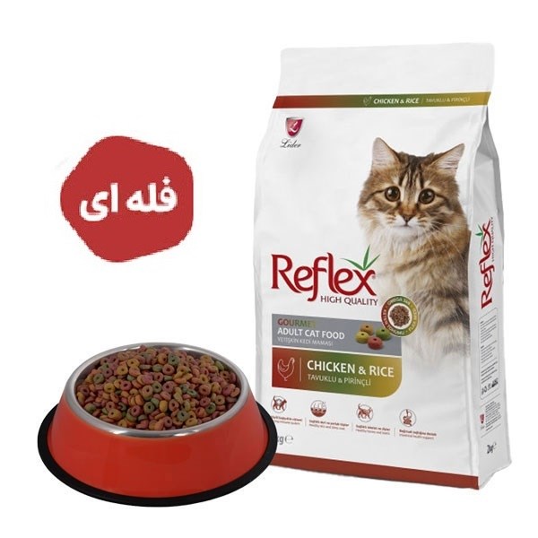 غذا خشک گربه رفلکس مولتی کالر فله ای (بسته بندی پتشاپ115)