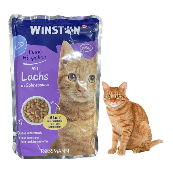 پوچ گربه وینستون طعم سالمون