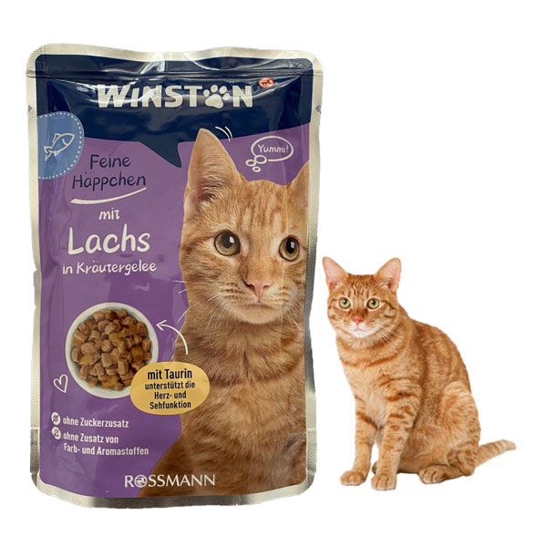 پوچ گربه وینستون طعم ماهی سالمون در ژله گیاهی