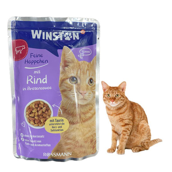 پوچ گربه وینستون طعم گوشت گاو در سس گوشت