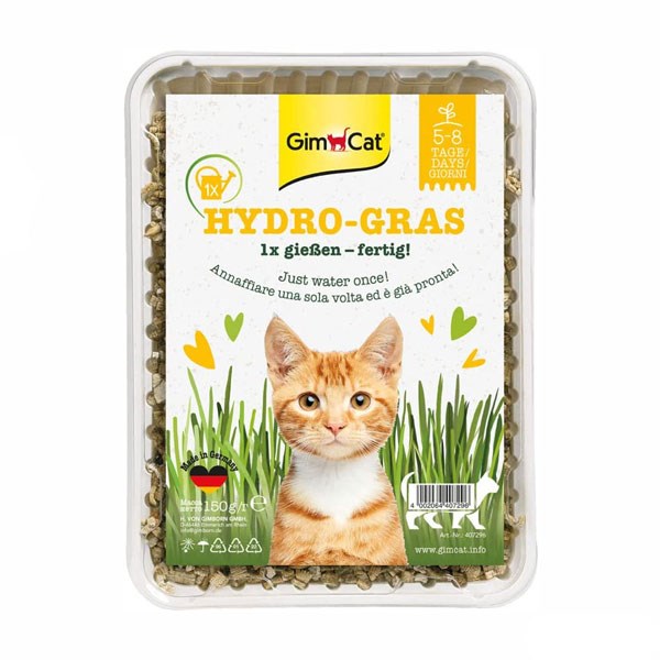 علف خوراکی گربه جیم کت با قابلیت رشد کامل مدل Hydro Gras