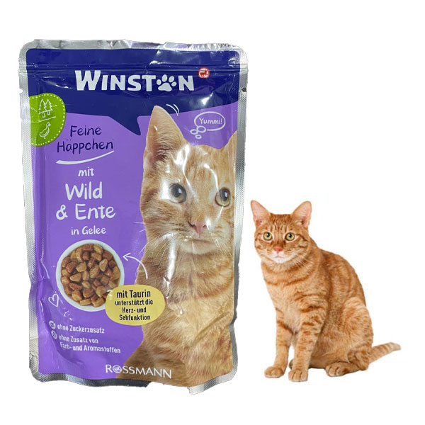 پوچ گربه وینستون طعم گوشت شکاری و اردک