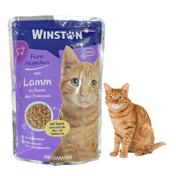 پوچ گربه وینستون طعم گوشت بره