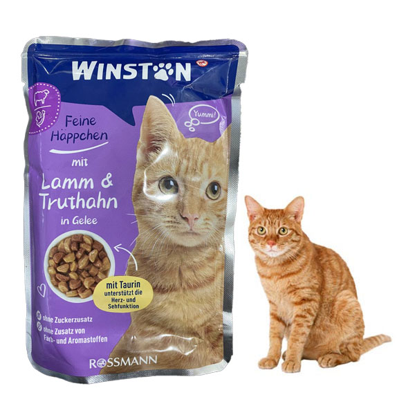 پوچ گربه وینستون طعم گوشت بره و بوقلمون در ژله