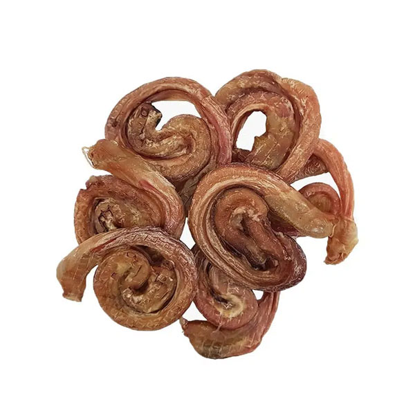 تشویقی طبیعی نای بوقلمون