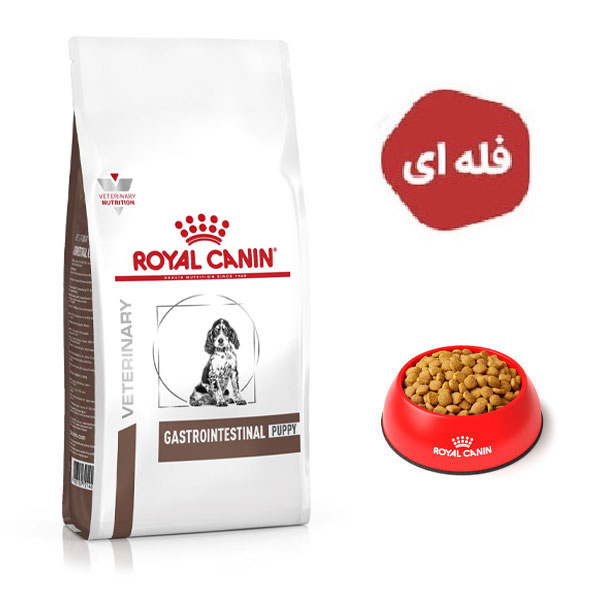 غذا خشک توله سگ مدل گسترو اینتستینال رویال کنین