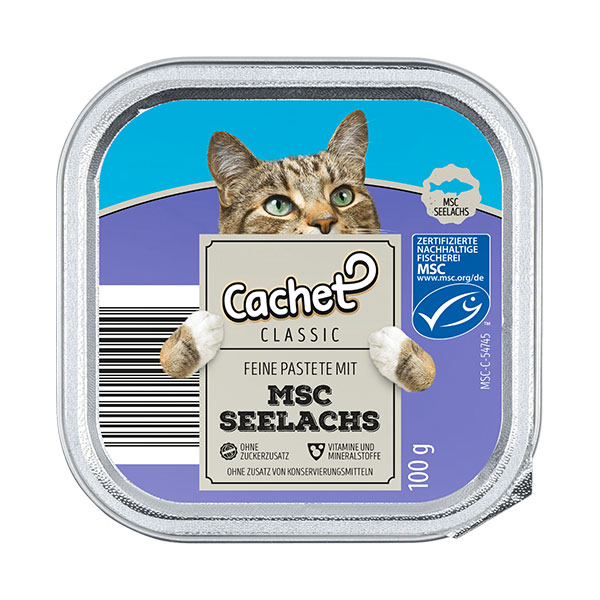 ووم گربه کچت طعم ماهی آزاد