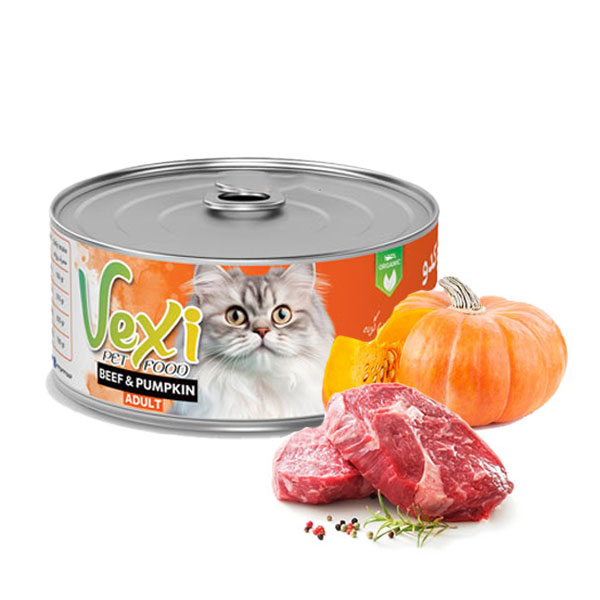 کنسرو پته گربه وکسی طعم گوشت بره و کدو تنبل