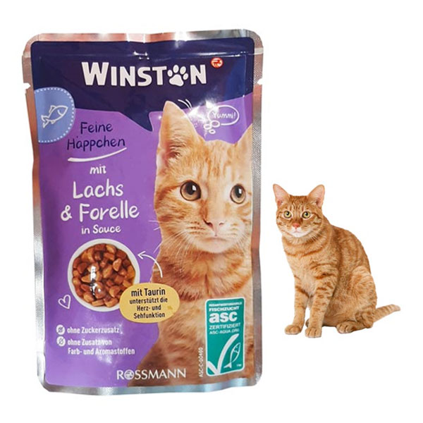 پوچ گربه وینستون طعم ماهی سالمون و قزل آلا