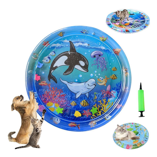 تشک آبی بازی سگ و گربه