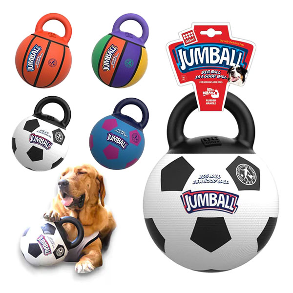 توپ بازی دسته دار سگ با تلمبه باد