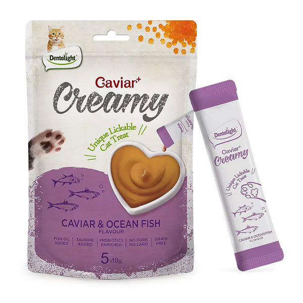 بستنی گربه دنتالایت طعم ماهی اقیانوسی و خاویار