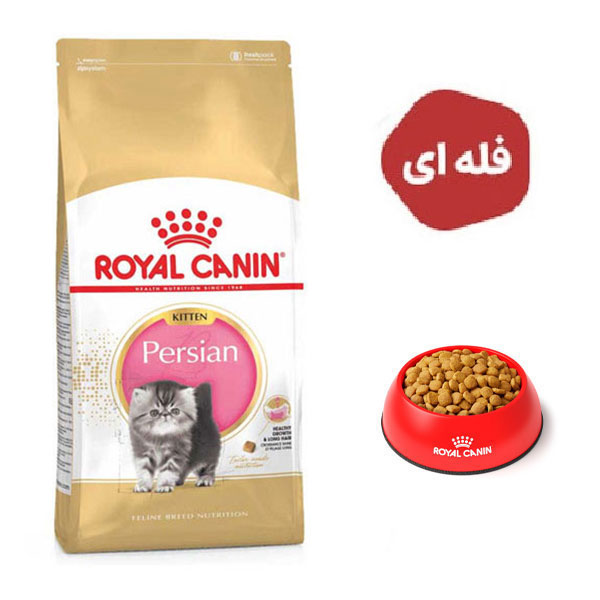 غذای خشک گربه مدل پرشین کیتن رویال کنین