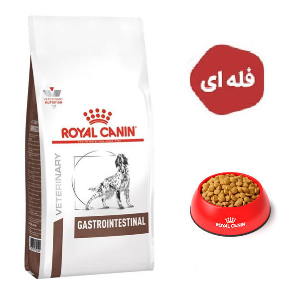 غذا خشک سگ مدل گسترو اینتستینال رویال کنین