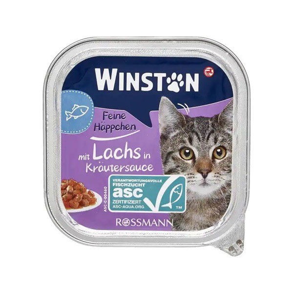 ووم گربه وینستون طعم ماهی سالمون در سس گیاهی