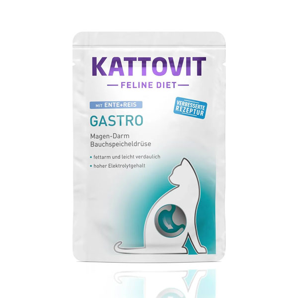 پوچ پته گربه مدل گسترو کاتوویت طعم اردک