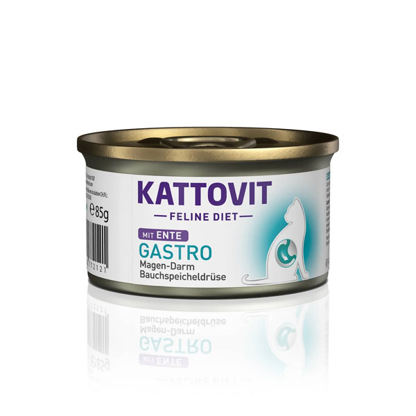 کنسرو گربه مدل گسترو کاتوویت طعم بوقلمون