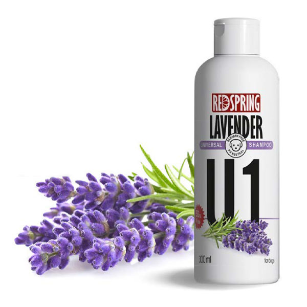 شامپو روزانه مخصوص سگ با عصاره لاوندر رد اسپرینگ